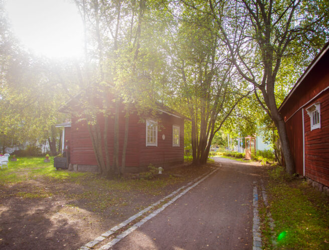 Musekortteli_kaunisnurmi