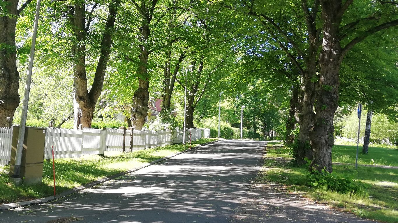 Opastettu kävelykierros - Koskenranta, patruunoiden puisto