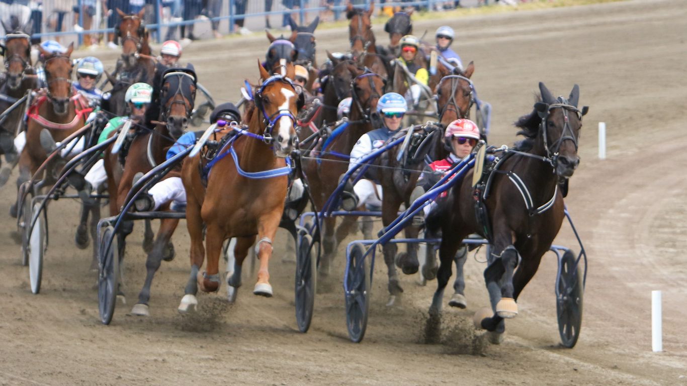 Ravit