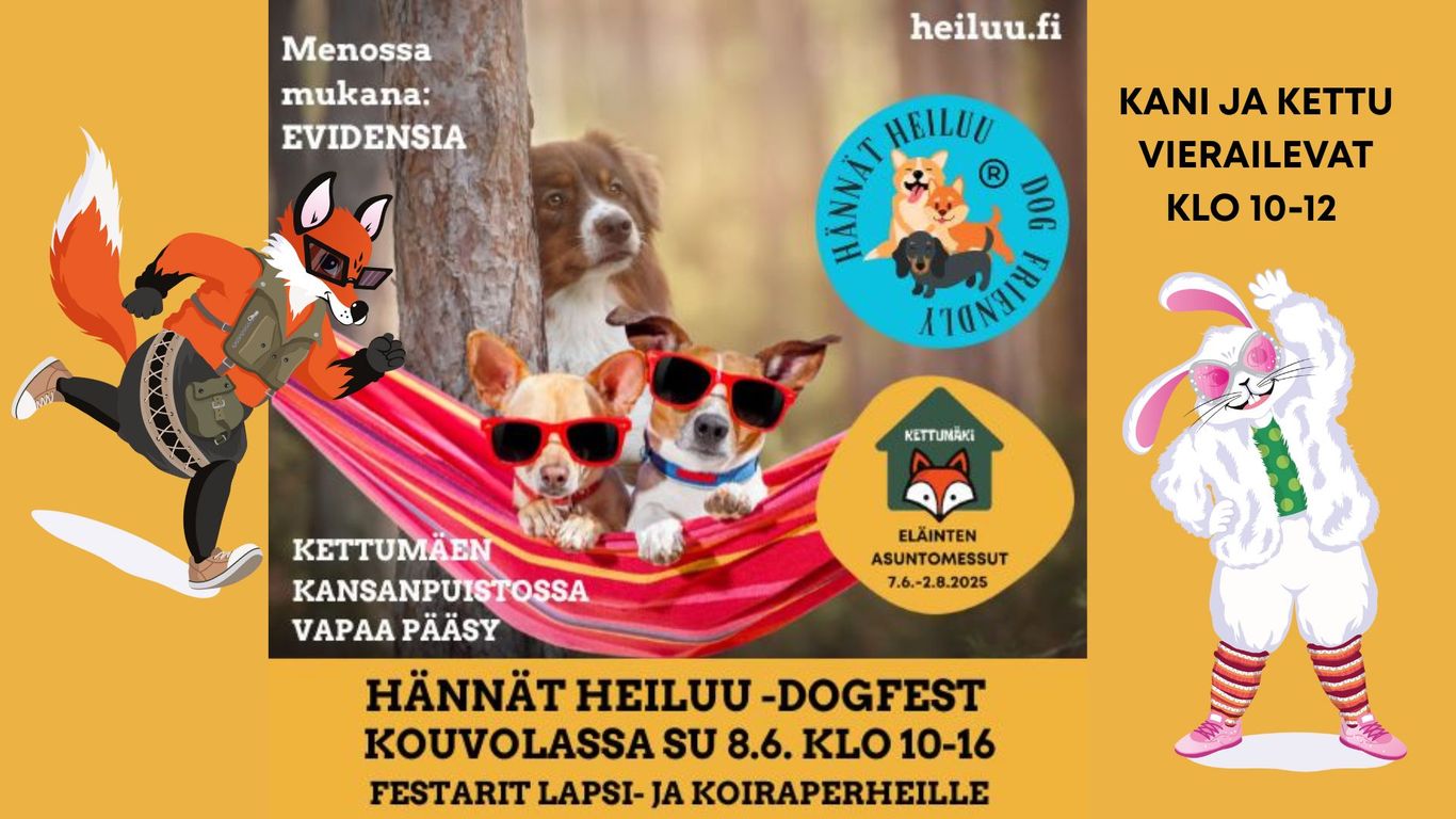 Hännät heiluu -DogFest Kouvolassa