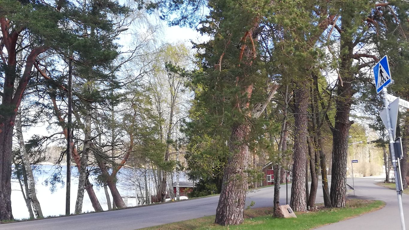 Opastettu kävelykierros - Valkealan Niinistön kierros