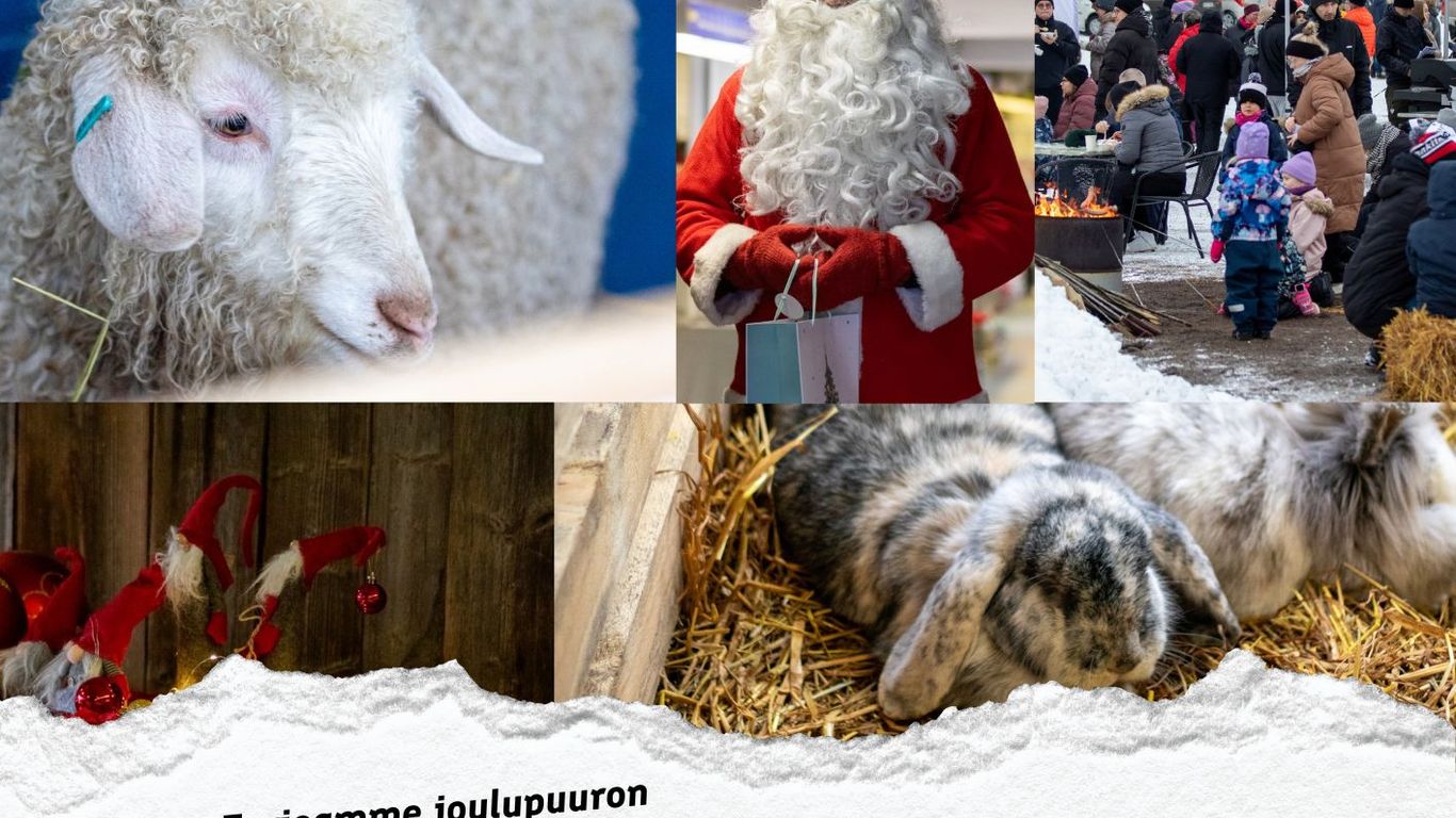 Eläinten Joulu & Erätulet -tapahtuma & ravit