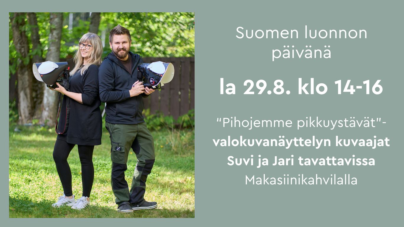 Kuvituskuva
